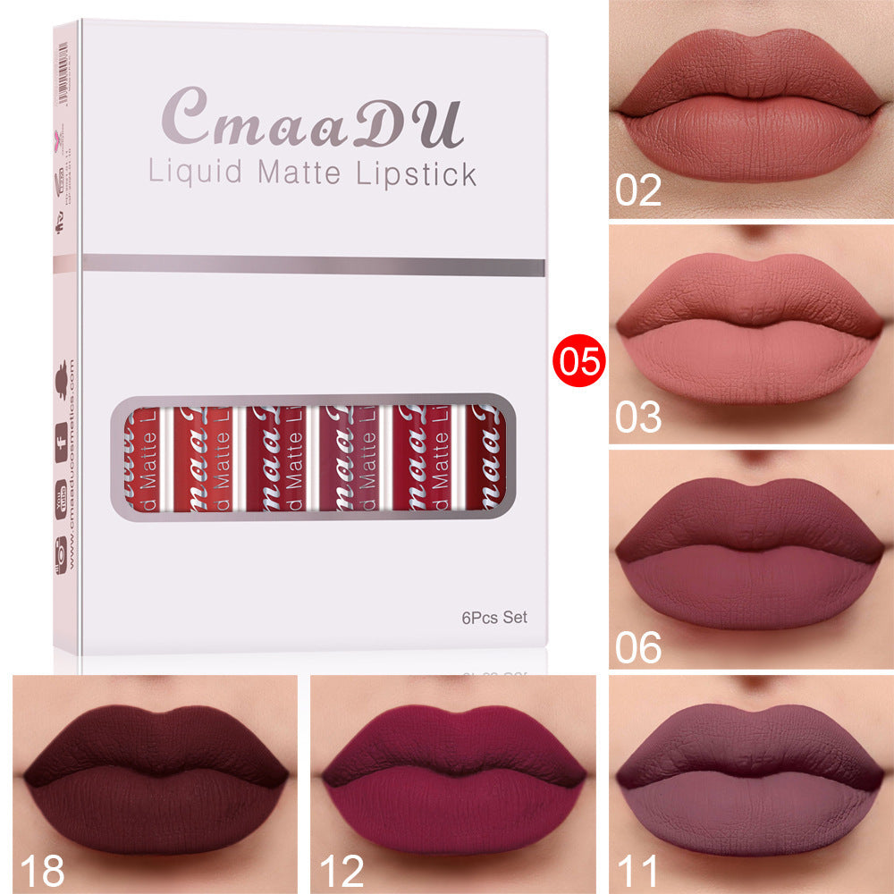 Waterproof Matte Lip Gloss