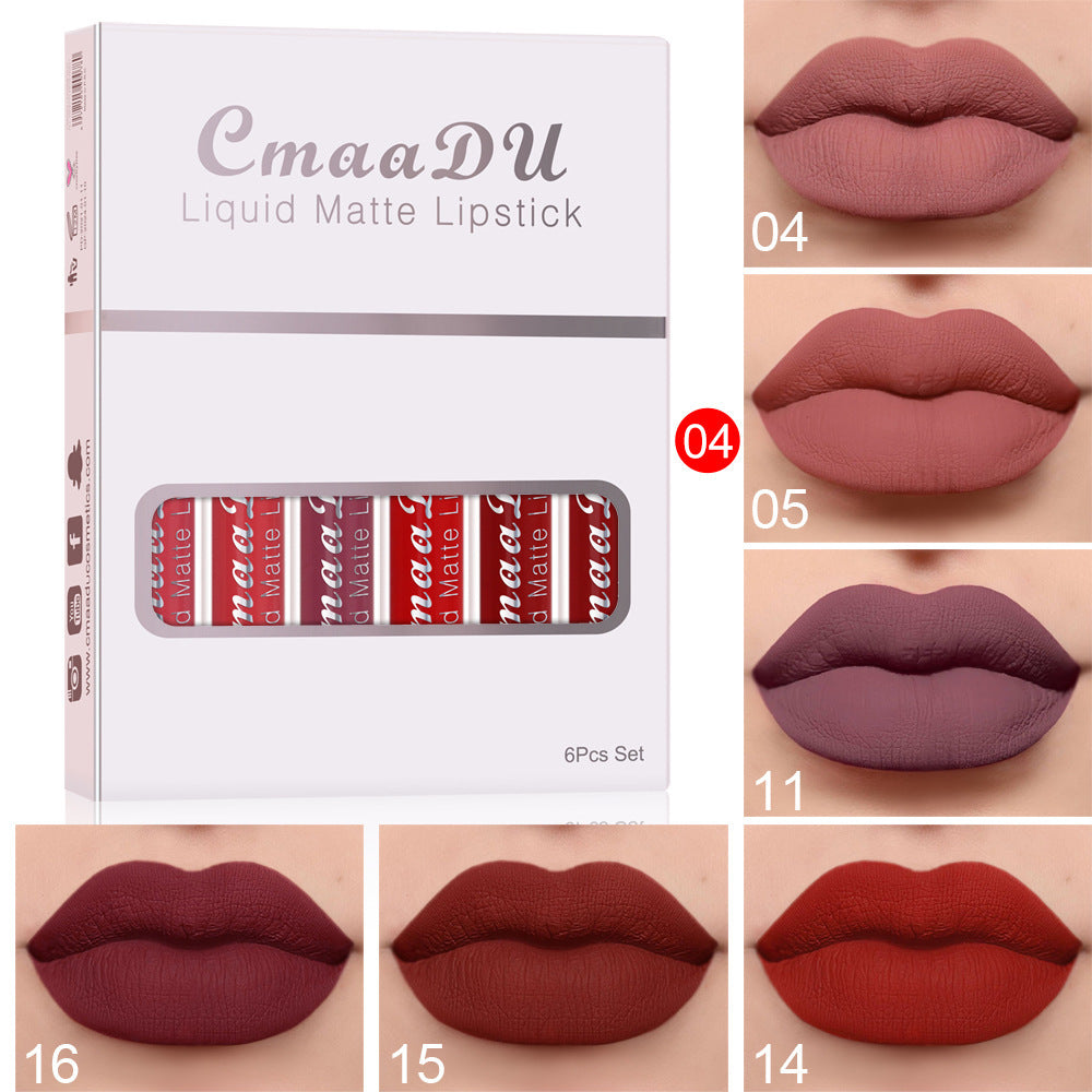 Waterproof Matte Lip Gloss