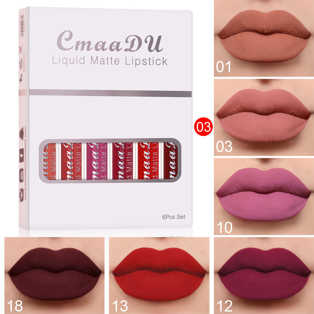 Waterproof Matte Lip Gloss