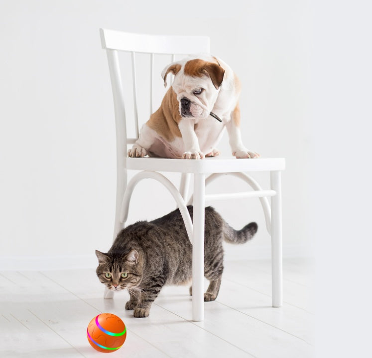 Intelligent Self-Rotating Cat Ball