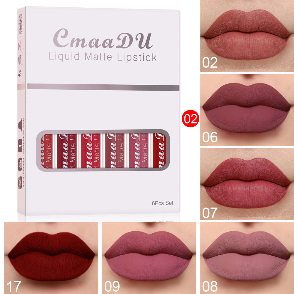 Waterproof Matte Lip Gloss