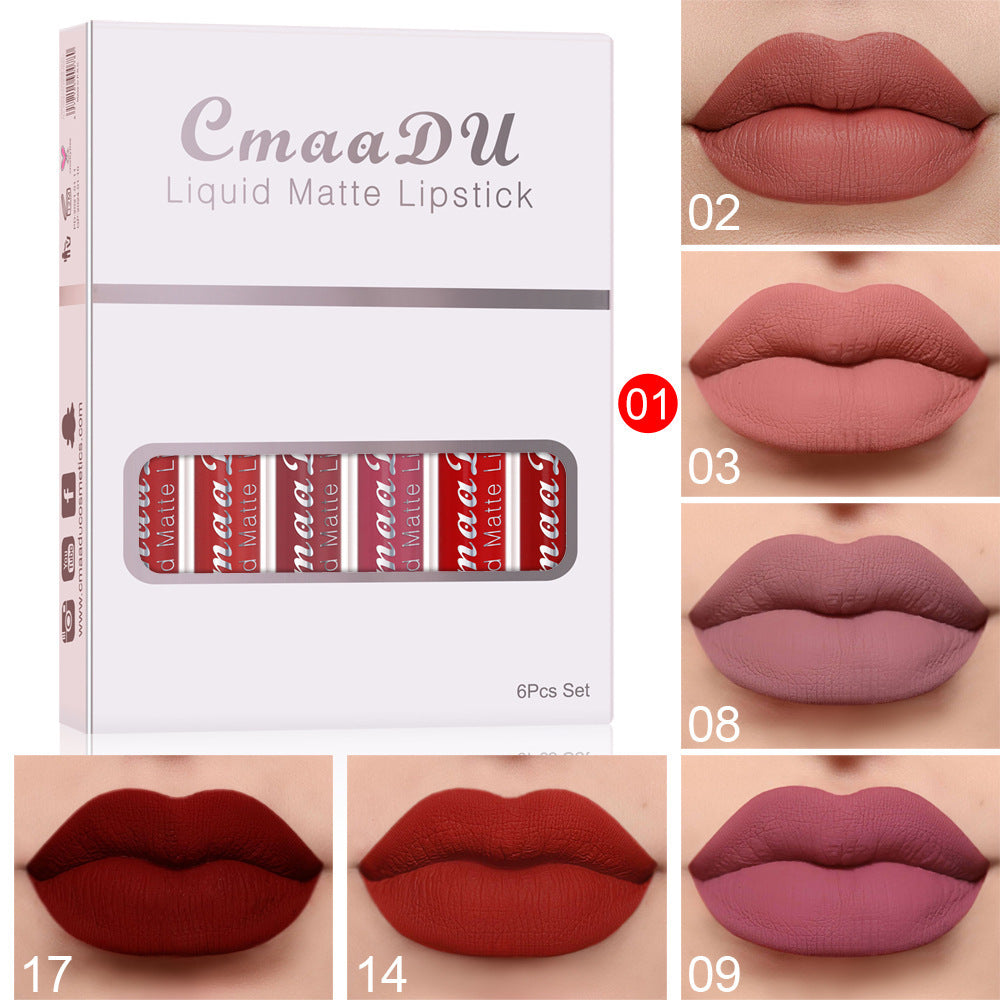 Waterproof Matte Lip Gloss