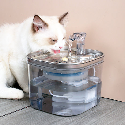 Stainless Steel Automatic Water Dispenser